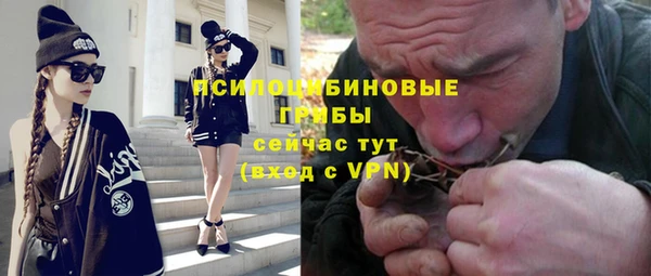 твердый Алексин