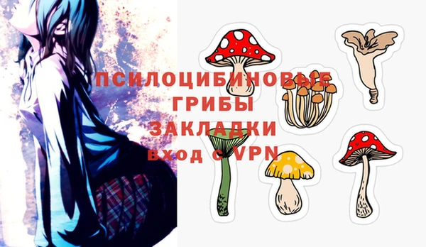твердый Алексин