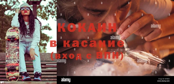 твердый Алексин