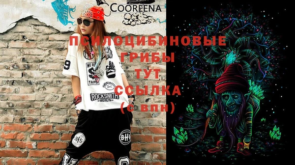 твердый Алексеевка