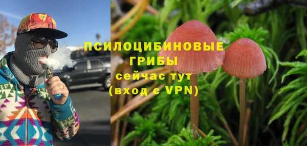 твердый Алексеевка