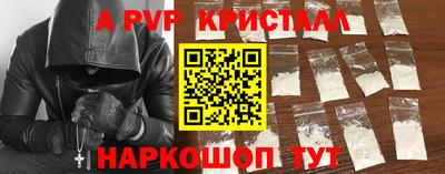 крисы Кинель