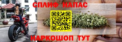 гидропоника Кингисепп