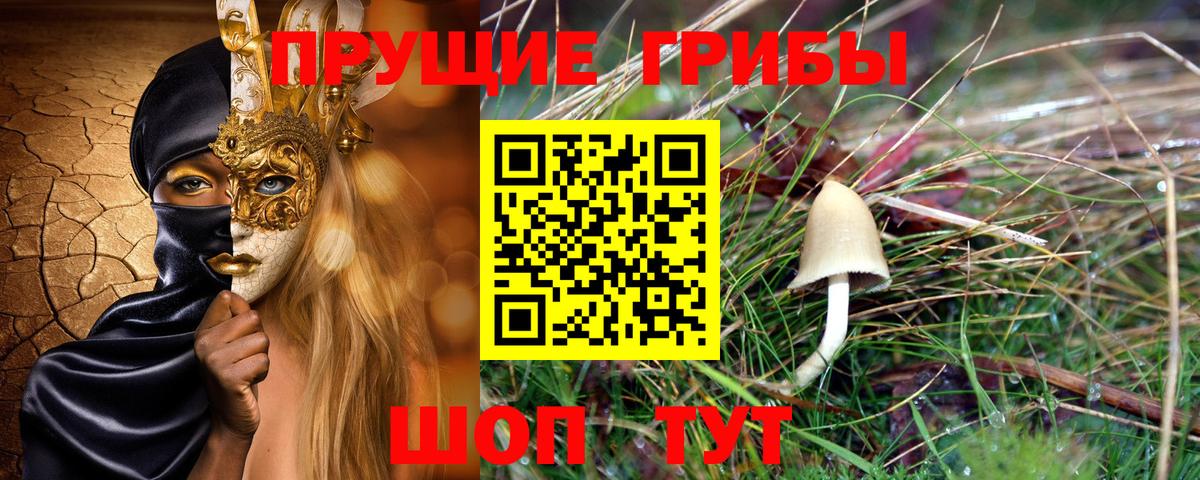 Псилоцибиновые грибы GOLDEN TEACHER  купить  цена  Вход с VPN  Полысаево  Галлюциногенные грибы GOLDEN TEACHER 